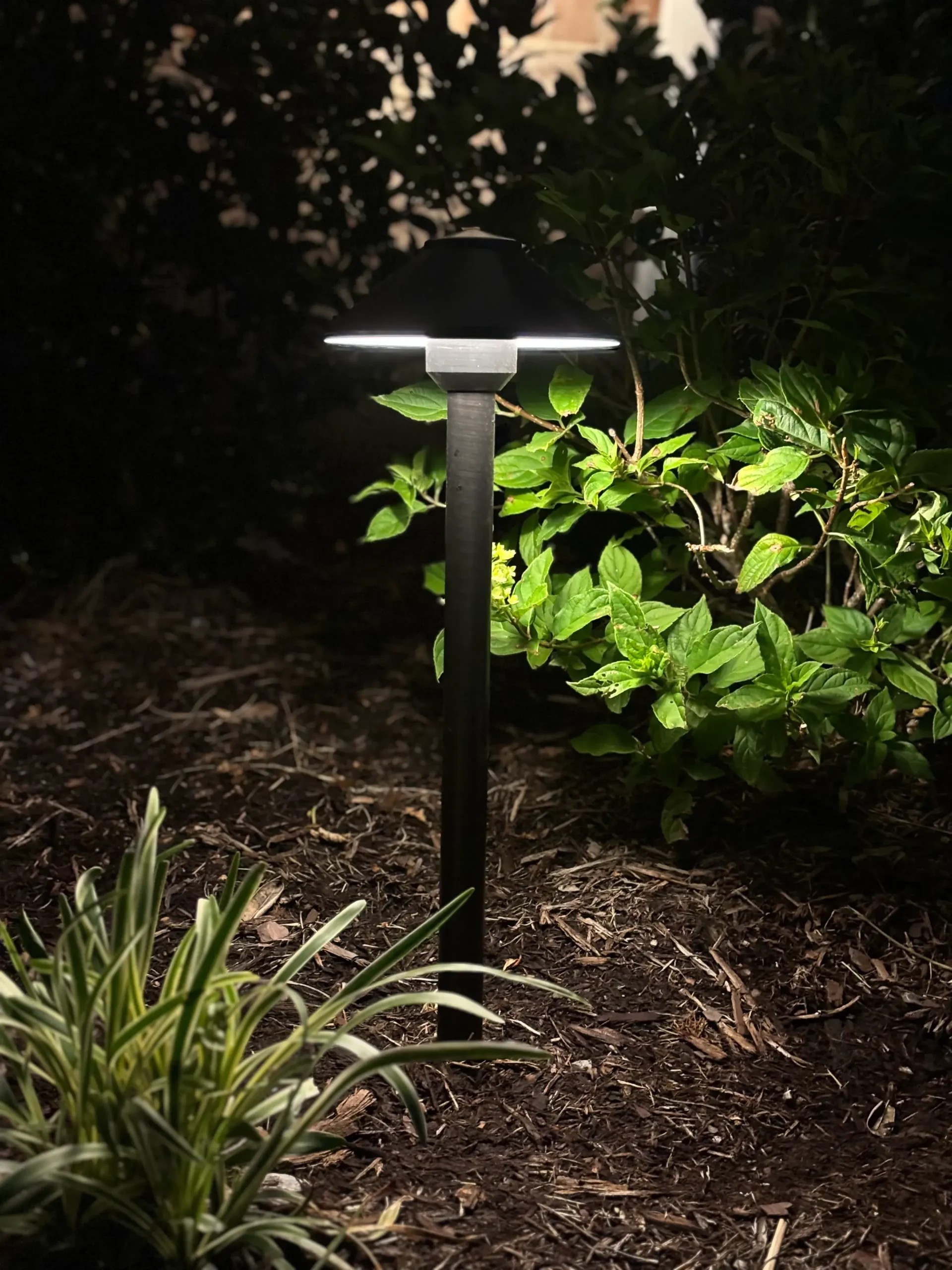 Path & driveway lighting