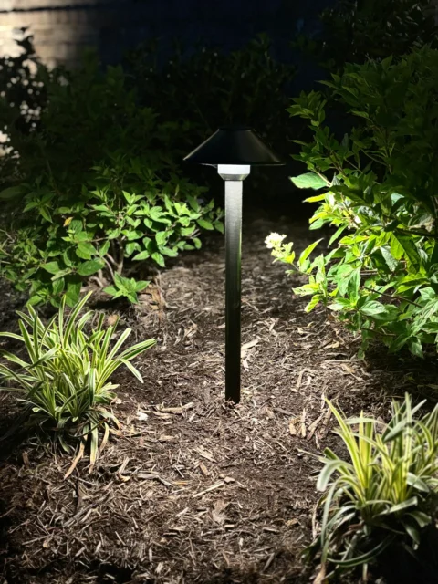 Solar Lights
