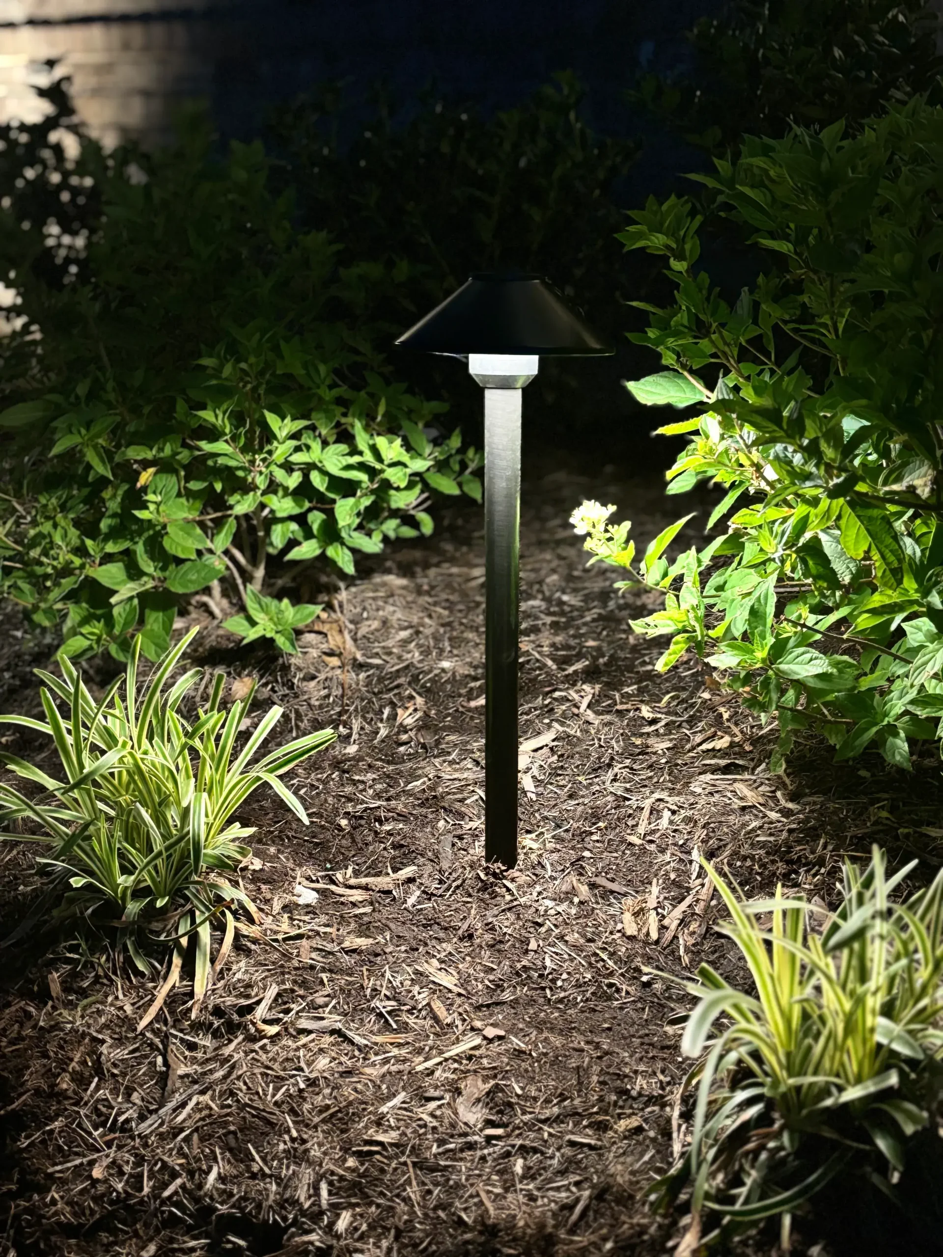 Solar Lights
