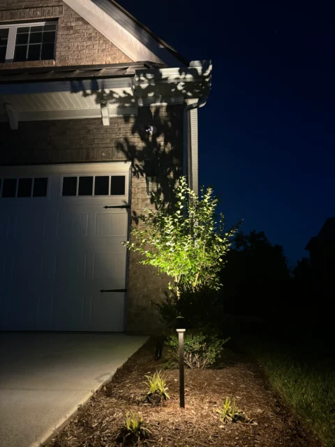 Outdoor LED uplights for trees