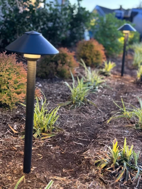 Dusk-to-dawn curb appeal lamps