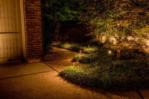 Garden Lighting Services